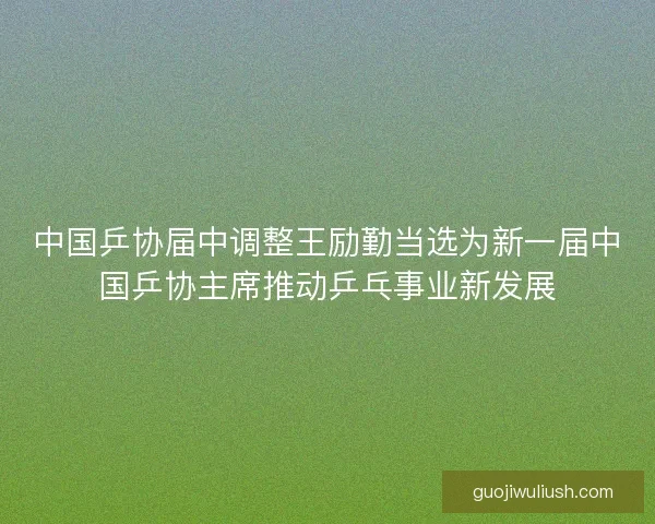 中国乒协届中调整王励勤当选为新一届中国乒协主席推动乒乓事业新发展