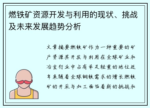 燃铁矿资源开发与利用的现状、挑战及未来发展趋势分析